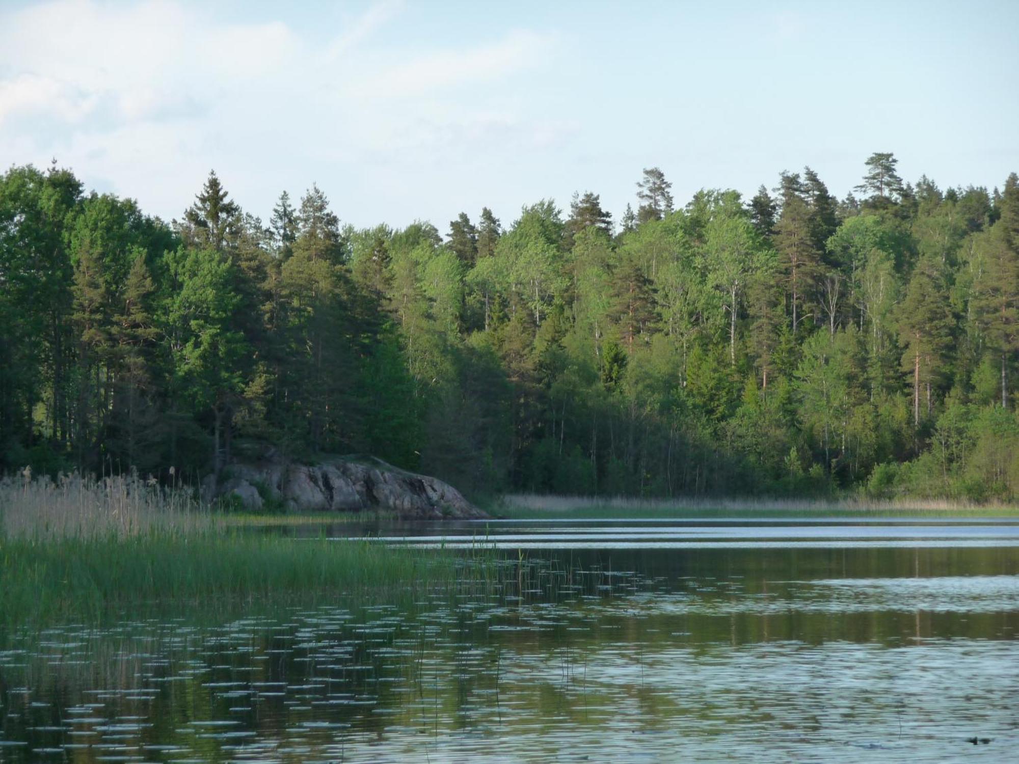 Kynnefjaellsnatur Hedekas Экстерьер фото